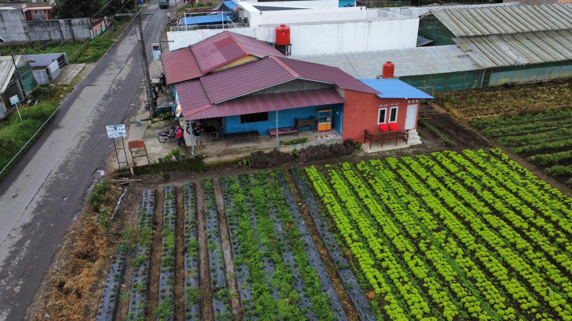 Vulkaan Homestay 베라스타기 외부 사진